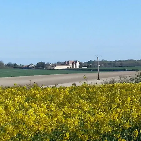 Château De Rochefort *