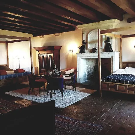 Château De Rochefort * Mirebeau