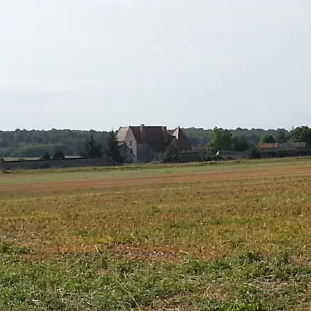 Château De Rochefort * Mirebeau